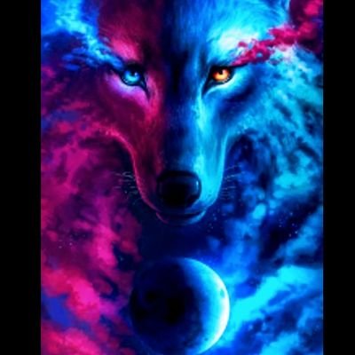 Michael80792838's profile picture. 