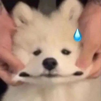 wcy787233's profile picture. lol