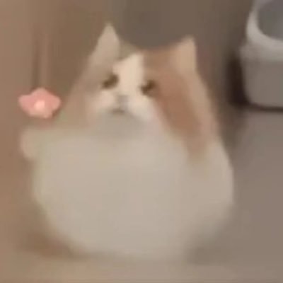 sIcp5CcFwjNkzTS's profile picture. 