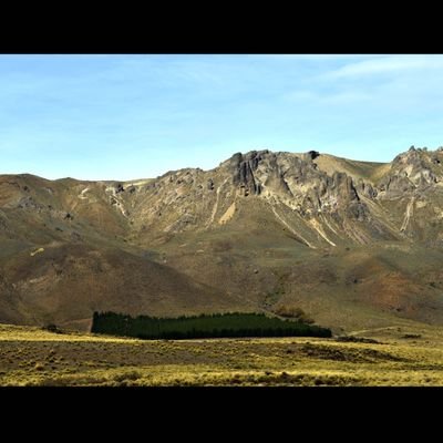 proyevisitantes's profile picture. 