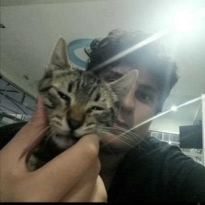 ugurkatilmis's profile picture. 