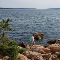 Verena Burtscher (@veburts) 's Twitter Profile Photo