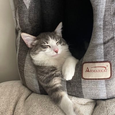 manders430's profile picture. you’re on your own kid