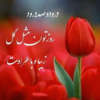 MardanYadi's profile picture. یه دوست دختریاپسرخوب میخام ازتهران پسر گی باشه😘