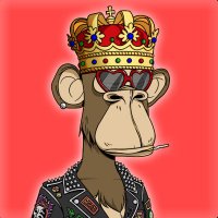 Senior 👑 (@seniornft) 's Twitter Profile Photo
