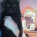 Maxwell Foster - @maxifoster - Twitter