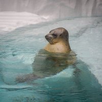 よっしー (@citypop_fx) Twitter profile photo