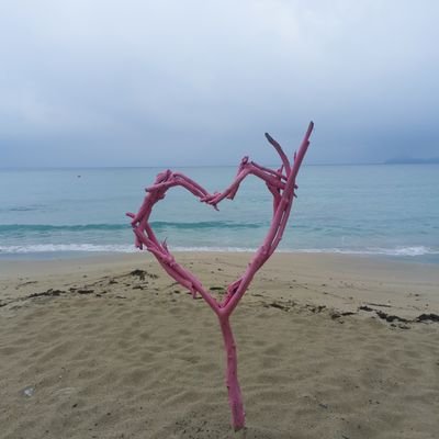 山口県下関市吉母にある海の家アクアです🌴 バーベキューにマリンスポーツに夏の楽しいが盛りだくさん♫ 
【天候状況や予約状況などを毎朝お知らせいたします】 
TEL 090-5074-3934