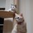 mogmog ☆SFC修行2022☆のTwitterプロフィール画像