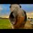 AdamW04138809's profile image