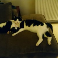 Bertie23๐โโฌ๐ฌ๐ง๐บ๐ธ๐ฎ๐ฑ๐ (@rosieb1352) 's Twitter Profile Photo Bertie23๐โโฌ๐ฌ๐ง๐บ๐ธ๐ฎ๐ฑ๐ (@rosieb1352) 's Twitter Profile Photo