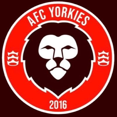 AFCYorkies Profile Picture