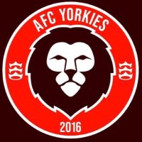 AFC Yorkies 🟥🦁(@AFCYorkies) 's Twitter Profile Photo