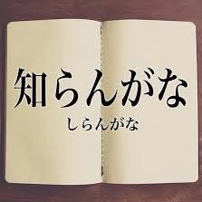 DnwCz's profile picture. 