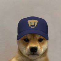 luisnavas015 (@luisnavas0151) 's Twitter Profile