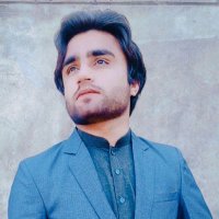 Ansar Hayat (@ansarha46267445) 's Twitter Profile