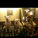 Jason plank - @Jayzx10r200 - Twitter