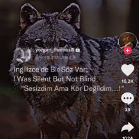 Kasim Akman (@akmankasim) 's Twitter Profile