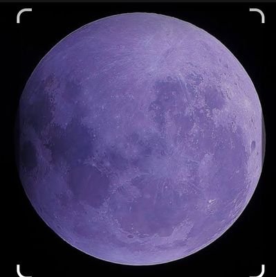 kishikatsu13's profile picture. 岸くん✨大好きです💜
岸くんを見守り応援しているので岸くん多めです‼️
Number_i 応援しています。仲良くして下さい💜
無言フォローすみません🙏