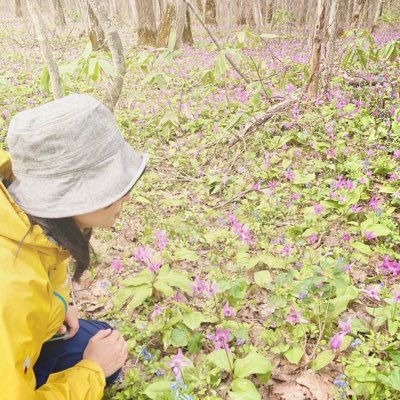 真実を知らないと正しい判断ができない