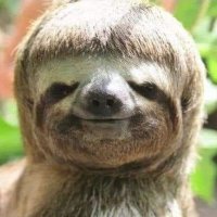 ELCHAMUCO (@e1_chamuco) 's Twitter Profile