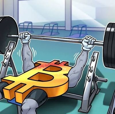FitGemHunter's profile picture. #Bitcoin maximalist | active crypto trader & user | I tweet about the coin/tokens I'm buying for long/short term | Gym freak🏋️| My tweets are NFA, always #DYOR