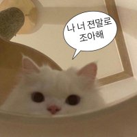진녜 (@mineis_p_o) 's Twitter Profile