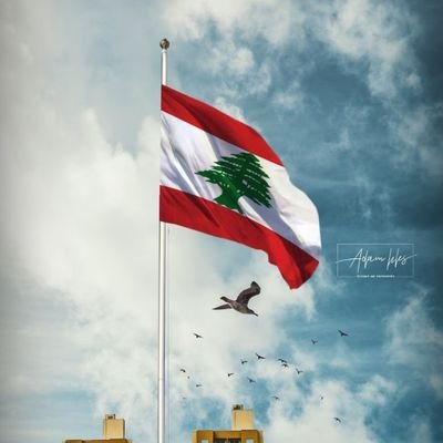 لا مكان للسياسه في قاموسي، إما ان تكون لبناني عربي، وأما لا تجادلني عقلي صعب وراسي ما بيحمل مراوغات، وشعاري لبنان لمن يحب لبنان ويريد الخير للوطن.
