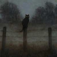 beauty (@911911x) 's Twitter Profile Photo