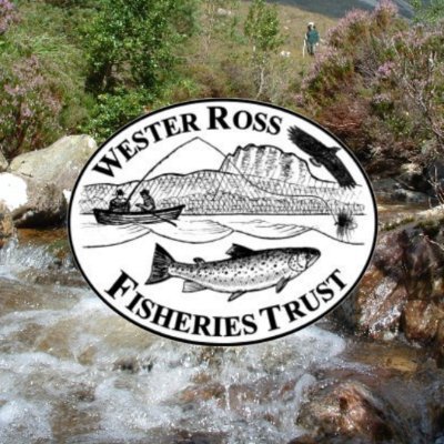 Conserving, restoring and developing healthy and productive wild fish populations in the beautiful area of Wester Ross, Scotland.