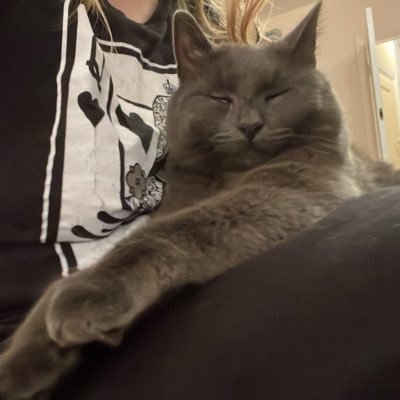 Eucleia2's profile picture. Mostly only use this to lurk/enter comps/post the occasional shite. Soz in advance.