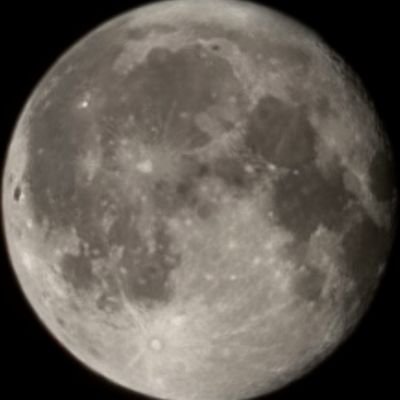 り。さんのプロフィール画像