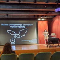 Clarice Diebold (@cadiebold) 's Twitter Profile