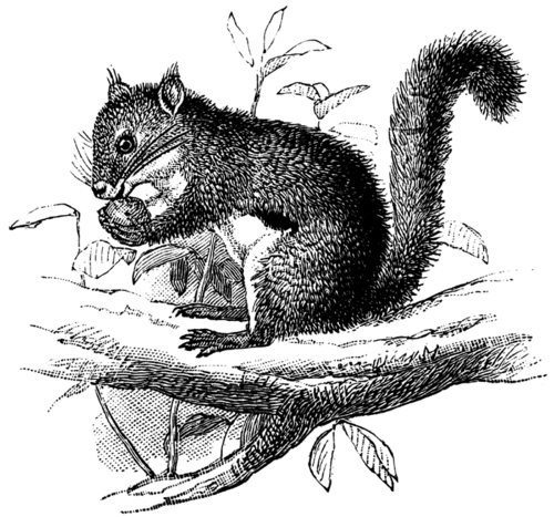 SkidUnofficial's profile picture. The official Twitter of Skidmore Unofficial
editor@skidmoreunofficial.com