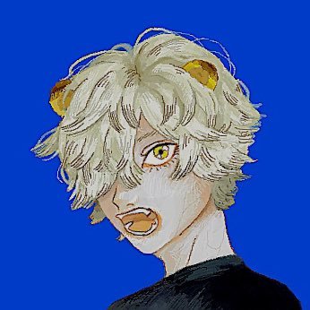ハシモクさんのプロフィール画像