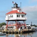 Anne B - @AnneBauman4 - Twitter