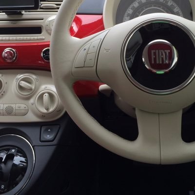 FIAT500 è un compagno importante e lo adoro. L'auto è su una Fiat 500. Mi piace la moda e le cose belle. Io amo l'Italia.🇮🇹 /Twitch名 一休ちゃん 推し:えなこちゃん、篠篠姉妹