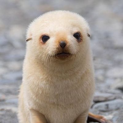 zuka4618933738's profile picture. 从对女人和自然的爱里获得希望。当然，这个“女人”的范围里，第一位的，还是我自己。我爱我自己，也爱你，我勇敢的、智慧的毑妹。