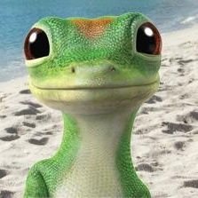 Lizard51m's profile picture. Roblox gamer mostly adopt me. Lizard51m on tiktok