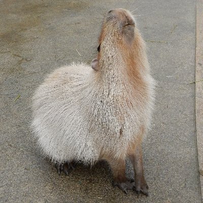 まりもさんのプロフィール画像