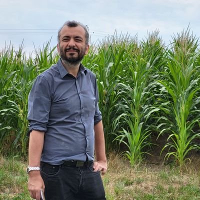 Directeur Conseil à l'Agence Gulfstream Communication / Spécialisé en communication agricole