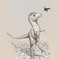 T.REX 【Free & Open Indo-Pacific】(@s8t8r9n0) 's Twitter Profile Photo