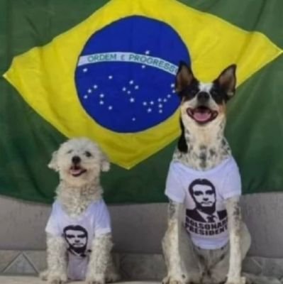 Bolivarianos canalhas!😡😡
Devolvam o Brasil para o povo.