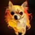 woof (@woofchihuahua) Twitter profile photo woof (@woofchihuahua) Twitter profile photo