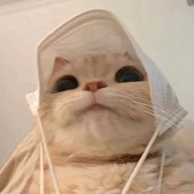 xif49 Profile Picture