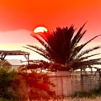 أليسار (@alysar91859390) 's Twitter Profile Photo