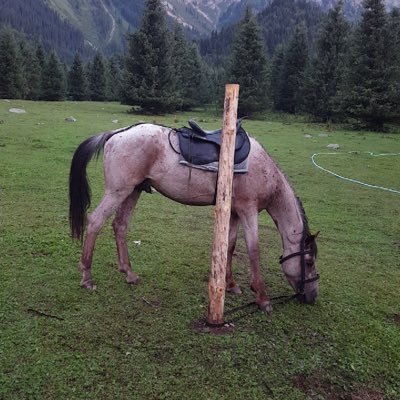 GAREB901's profile picture. 