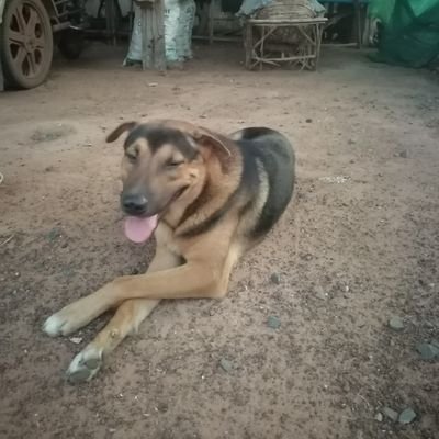 tirawut69's profile picture. 25 september