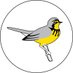 Birds Canada - Atlantic Region (@BirdsCanada_Atl) Twitter profile photo