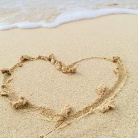 みんぞく🧚‍♀️🏐 (@minzoooku) Twitter profile photo